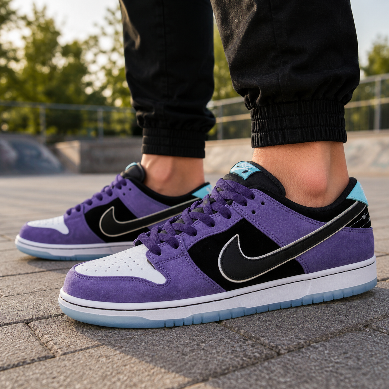 Ni_ke x Hailey Wilson SB Dunk Low Pro Black and Court Purple